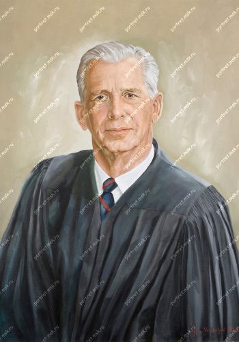 Портрет судьи 43